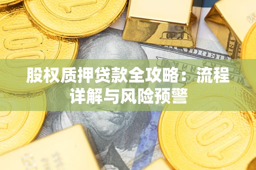 北京股权质押贷款全攻略：流程详解与风险预警