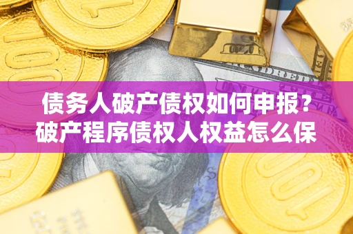 北京债务人破产债权如何申报？破产程序债权人权益怎么保障？