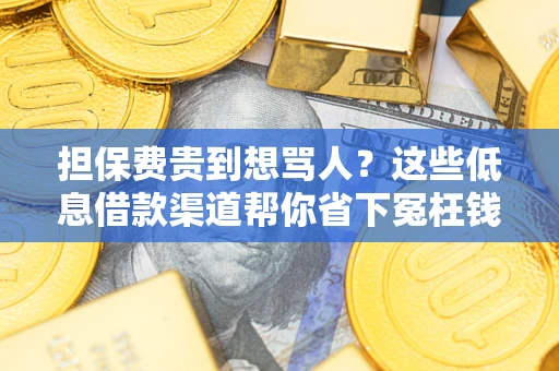 北京担保费贵到想骂人？这些低息借款渠道帮你省下冤枉钱