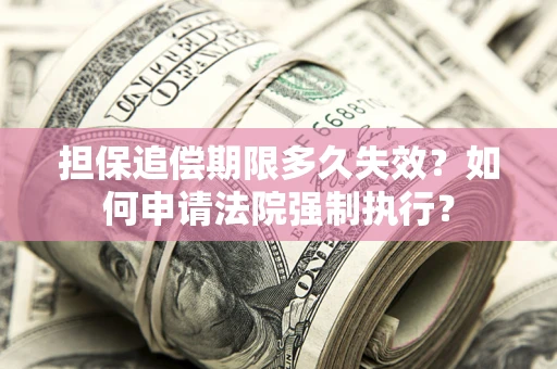 北京担保追偿期限多久失效？如何申请法院强制执行？