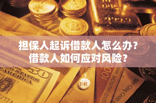 北京担保人起诉借款人怎么办？借款人如何应对风险？