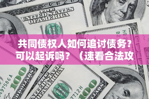 北京共同债权人如何追讨债务？可以起诉吗？（速看合法攻略）