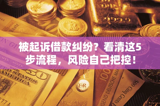 北京被起诉借款纠纷？看清这5步流程，风险自己把控！